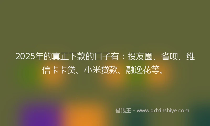 2025年的真正下款的口子有：投友圈、省呗、维信卡卡贷、小米贷款、融逸花等。