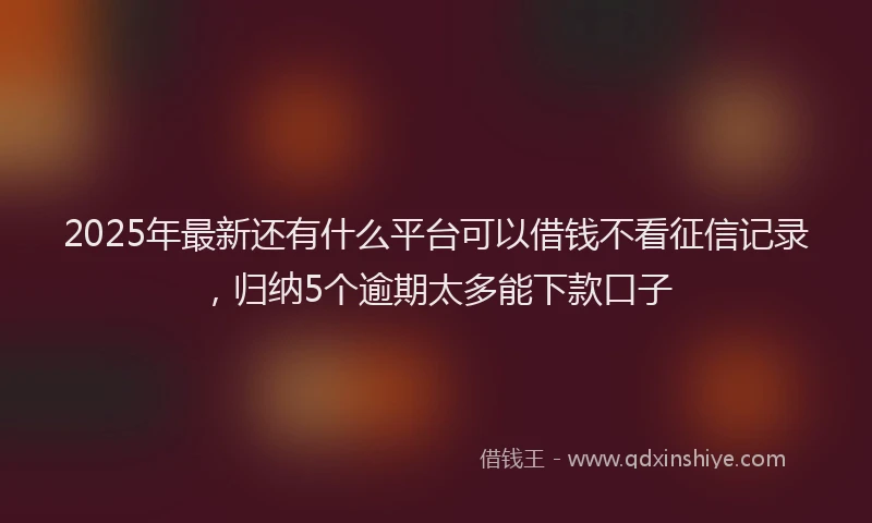 2025年最新还有什么平台可以借钱不看征信记录，归纳5个逾期太多能下款口子