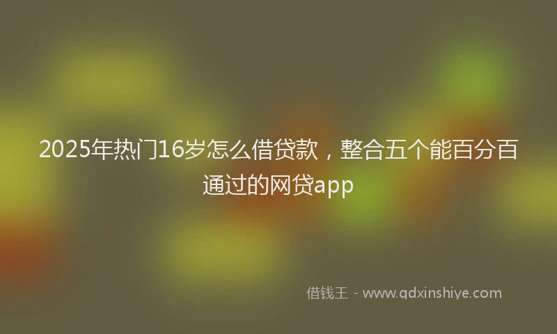 2025年热门16岁怎么借贷款，整合五个能百分百通过的网贷app