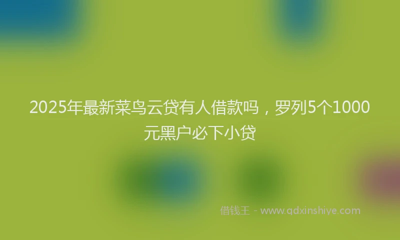 2025年最新菜鸟云贷有人借款吗，罗列5个1000元黑户必下小贷