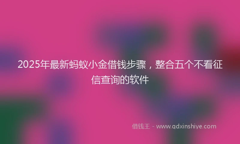 2025年最新蚂蚁小金借钱步骤，整合五个不看征信查询的软件