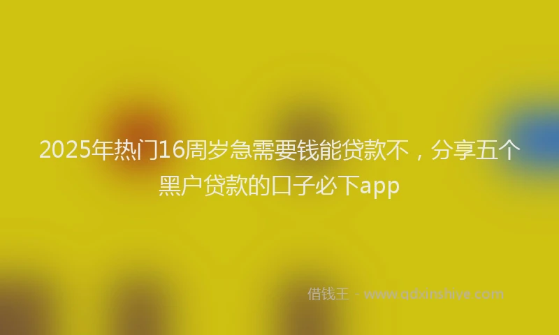 2025年热门16周岁急需要钱能贷款不，分享五个黑户贷款的口子必下app