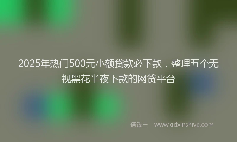 2025年热门500元小额贷款必下款，整理五个无视黑花半夜下款的网贷平台
