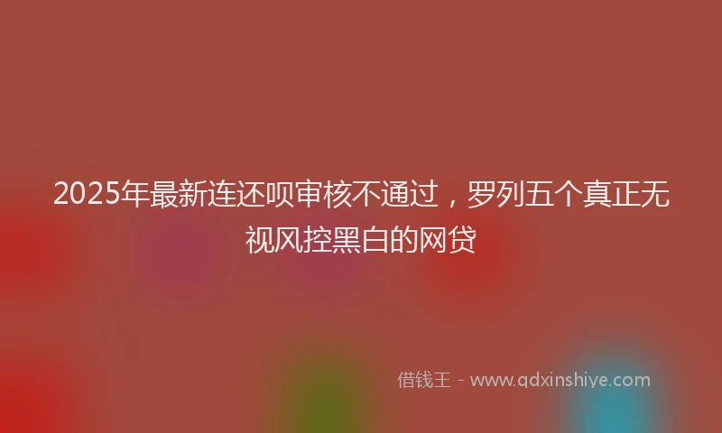 2025年最新连还呗审核不通过，罗列五个真正无视风控黑白的网贷