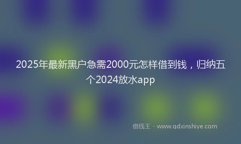2025年最新黑户急需2000元怎样借到钱，归纳五个2024放水app