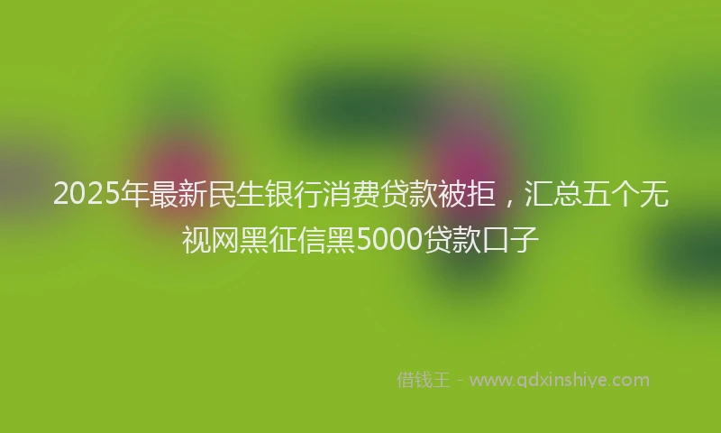 2025年最新民生银行消费贷款被拒，汇总五个无视网黑征信黑5000贷款口子