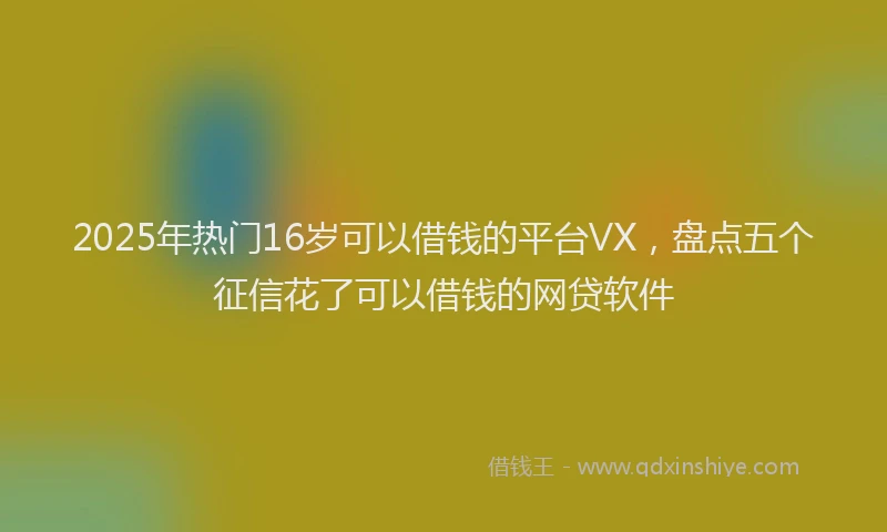 2025年热门16岁可以借钱的平台VX，盘点五个征信花了可以借钱的网贷软件