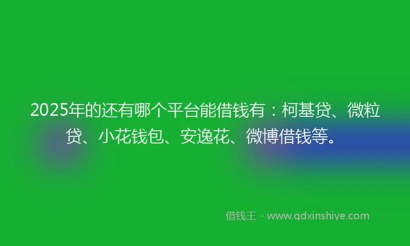 2025年的还有哪个平台能借钱有：柯基贷、微粒贷、小花钱包、安逸花、微博借钱等。