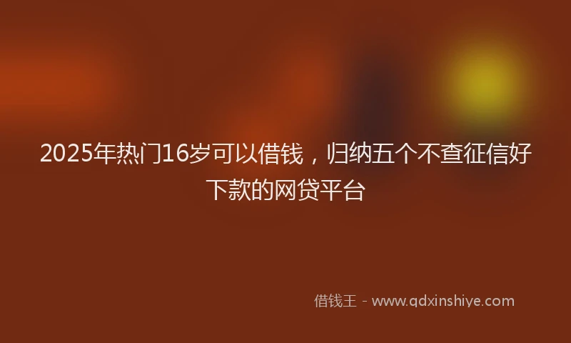 2025年热门16岁可以借钱，归纳五个不查征信好下款的网贷平台