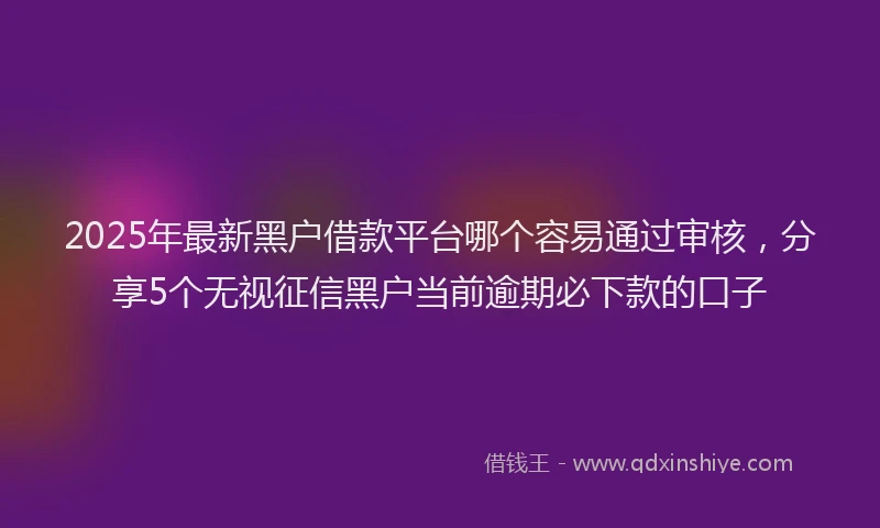 2025年最新黑户借款平台哪个容易通过审核，分享5个无视征信黑户当前逾期必下款的口子