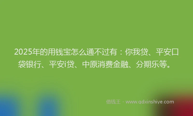 2025年的用钱宝怎么通不过有：你我贷、平安口袋银行、平安i贷、中原消费金融、分期乐等。