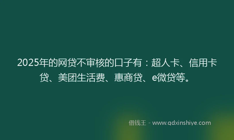 2025年的网贷不审核的口子有：超人卡、信用卡贷、美团生活费、惠商贷、e微贷等。