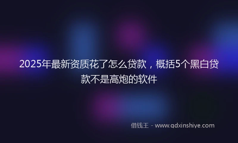 2025年最新资质花了怎么贷款，概括5个黑白贷款不是高炮的软件