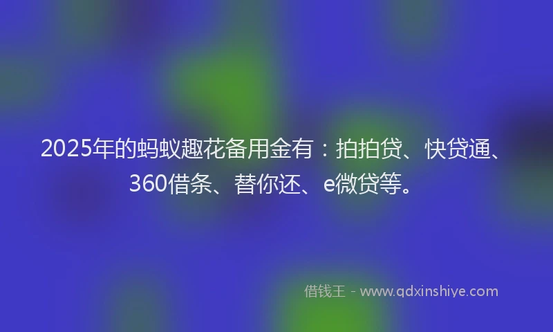 2025年的蚂蚁趣花备用金有：拍拍贷、快贷通、360借条、替你还、e微贷等。
