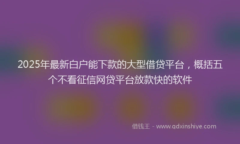 2025年最新白户能下款的大型借贷平台，概括五个不看征信网贷平台放款快的软件