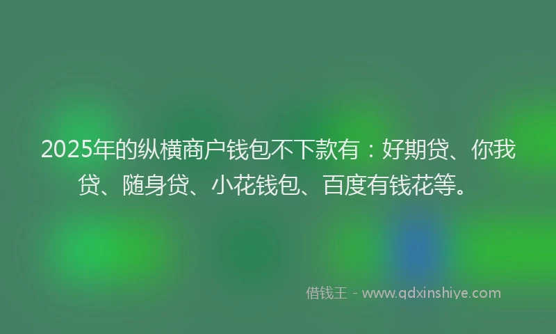 2025年的纵横商户钱包不下款有：好期贷、你我贷、随身贷、小花钱包、百度有钱花等。