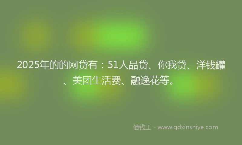 2025年的的网贷有：51人品贷、你我贷、洋钱罐、美团生活费、融逸花等。