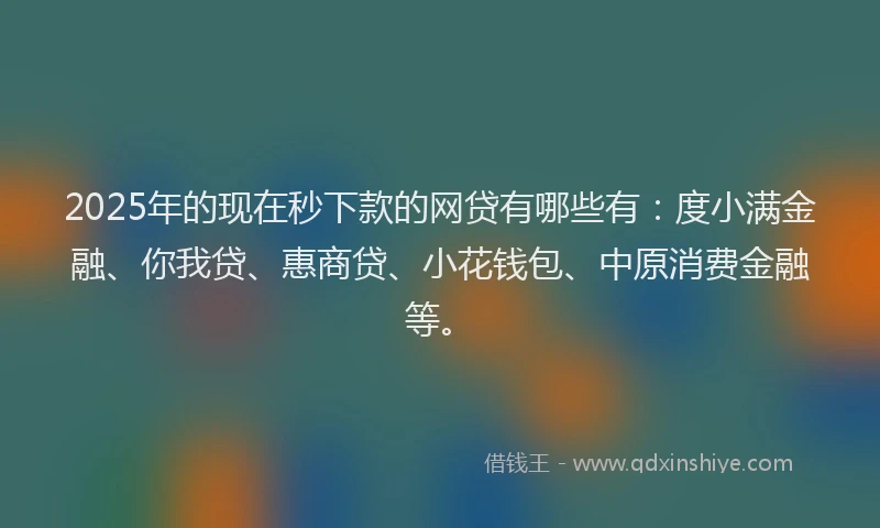 2025年的现在秒下款的网贷有哪些有：度小满金融、你我贷、惠商贷、小花钱包、中原消费金融等。