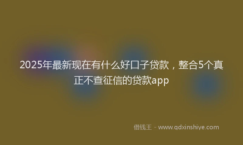 2025年最新现在有什么好口子贷款，整合5个真正不查征信的贷款app