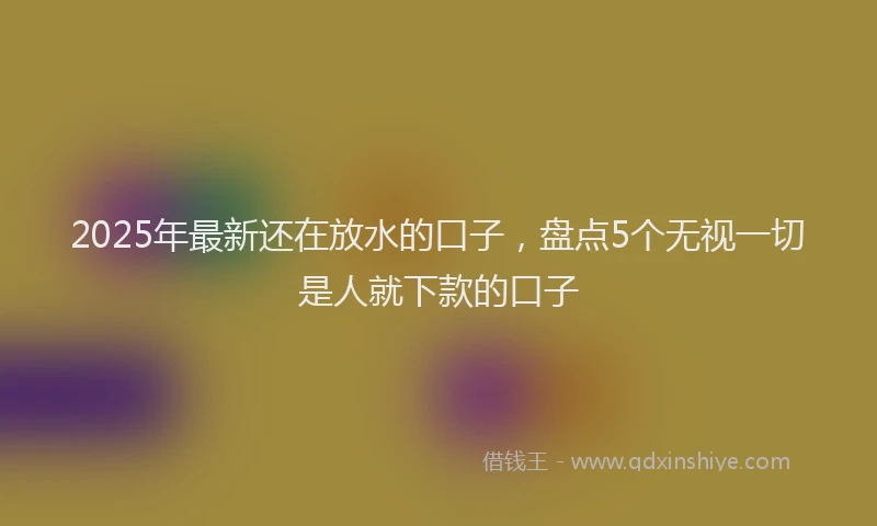2025年最新还在放水的口子，盘点5个无视一切是人就下款的口子