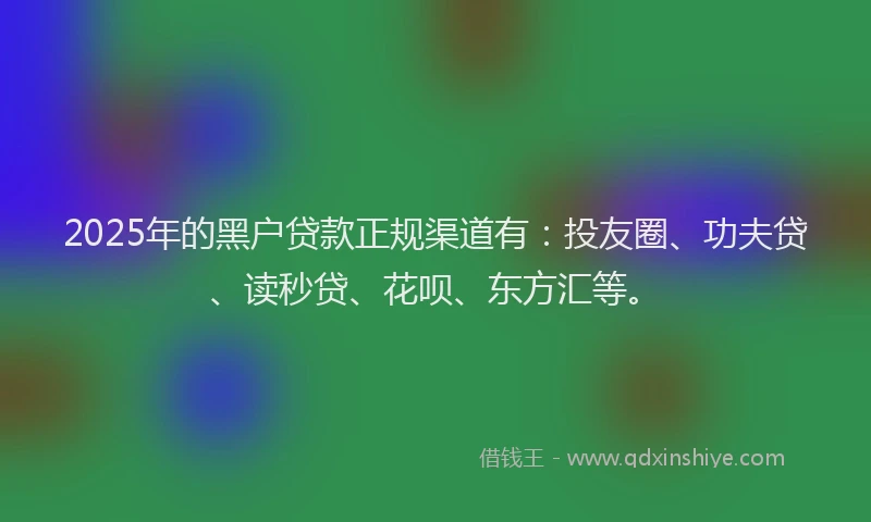 2025年的黑户贷款正规渠道有：投友圈、功夫贷、读秒贷、花呗、东方汇等。