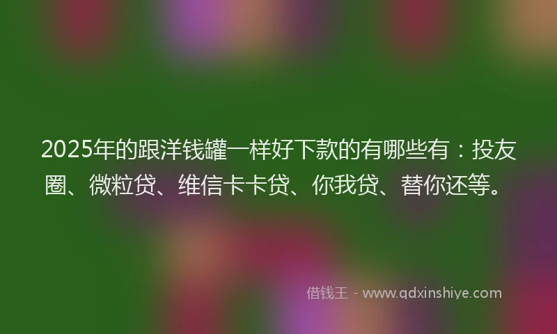 2025年的跟洋钱罐一样好下款的有哪些有：投友圈、微粒贷、维信卡卡贷、你我贷、替你还等。