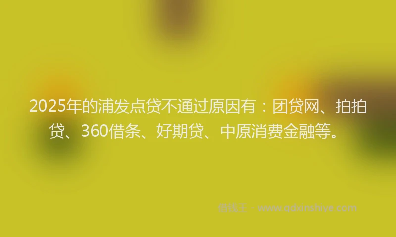 2025年的浦发点贷不通过原因有：团贷网、拍拍贷、360借条、好期贷、中原消费金融等。
