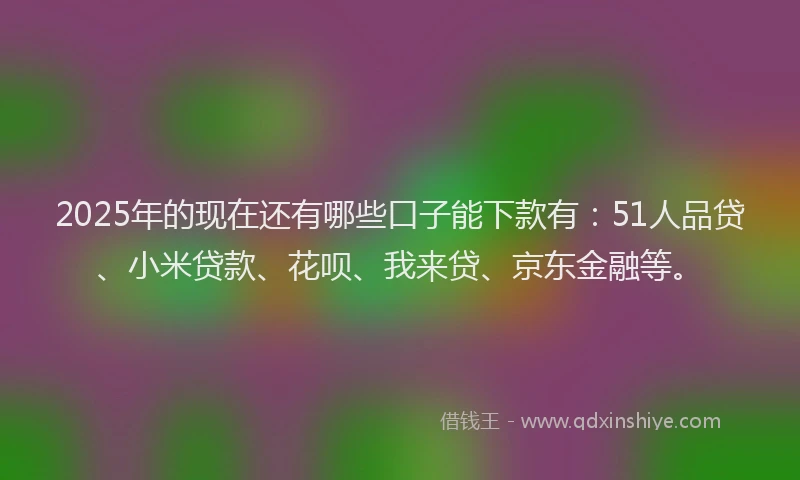 2025年的现在还有哪些口子能下款有：51人品贷、小米贷款、花呗、我来贷、京东金融等。