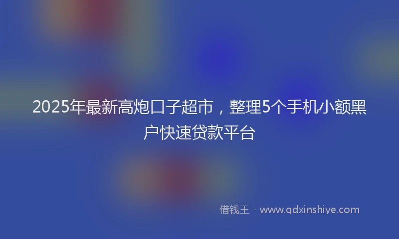 2025年最新高炮口子超市，整理5个手机小额黑户快速贷款平台