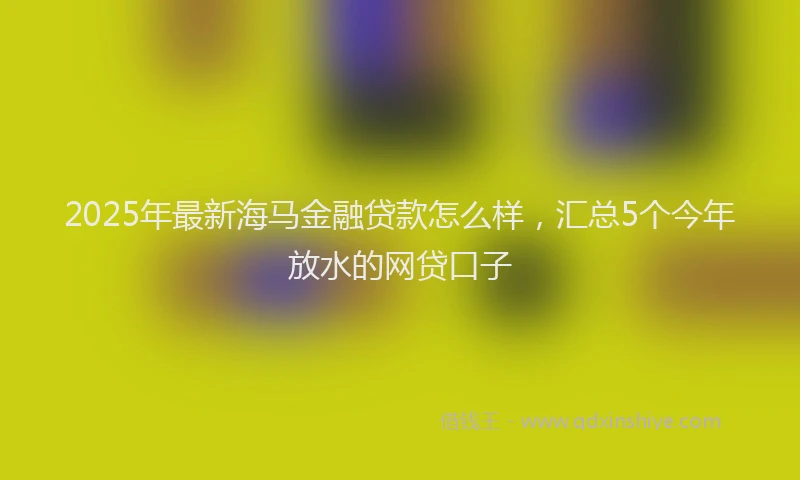 2025年最新海马金融贷款怎么样，汇总5个今年放水的网贷口子