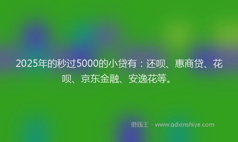 2025年的秒过5000的小贷有：还呗、惠商贷、花呗、京东金融、安逸花等。