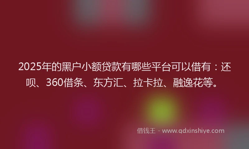 2025年的黑户小额贷款有哪些平台可以借有：还呗、360借条、东方汇、拉卡拉、融逸花等。