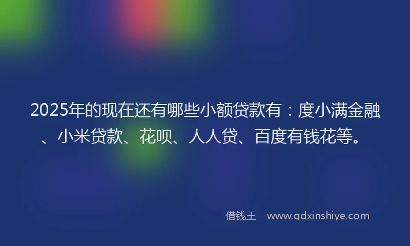 2025年的现在还有哪些小额贷款有：度小满金融、小米贷款、花呗、人人贷、百度有钱花等。