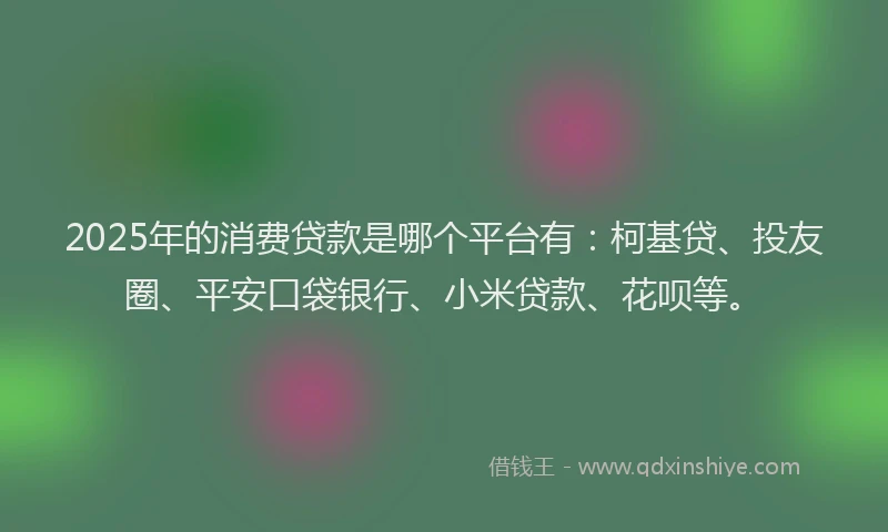 2025年的消费贷款是哪个平台有：柯基贷、投友圈、平安口袋银行、小米贷款、花呗等。