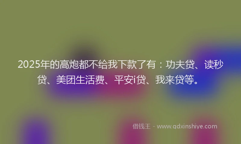 2025年的高炮都不给我下款了有：功夫贷、读秒贷、美团生活费、平安i贷、我来贷等。
