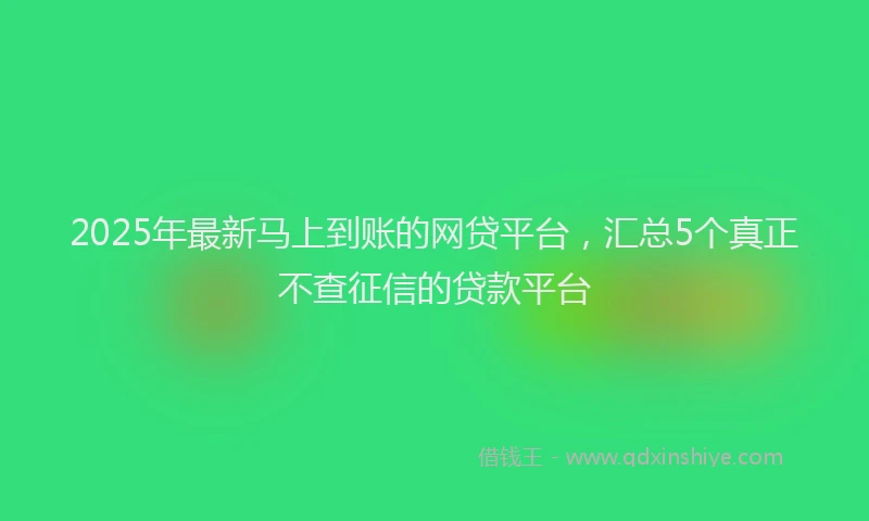 2025年最新马上到账的网贷平台，汇总5个真正不查征信的贷款平台