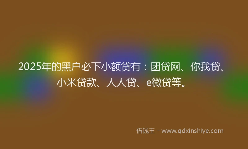 2025年的黑户必下小额贷有：团贷网、你我贷、小米贷款、人人贷、e微贷等。