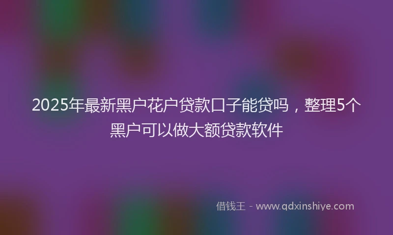 2025年最新黑户花户贷款口子能贷吗，整理5个黑户可以做大额贷款软件