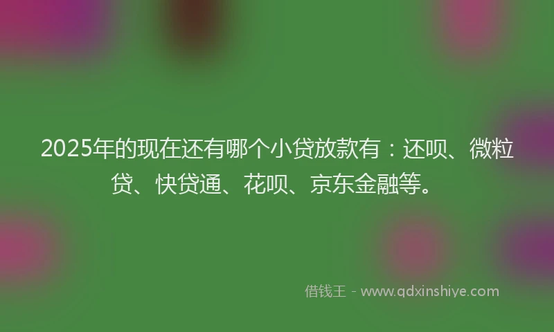 2025年的现在还有哪个小贷放款有：还呗、微粒贷、快贷通、花呗、京东金融等。