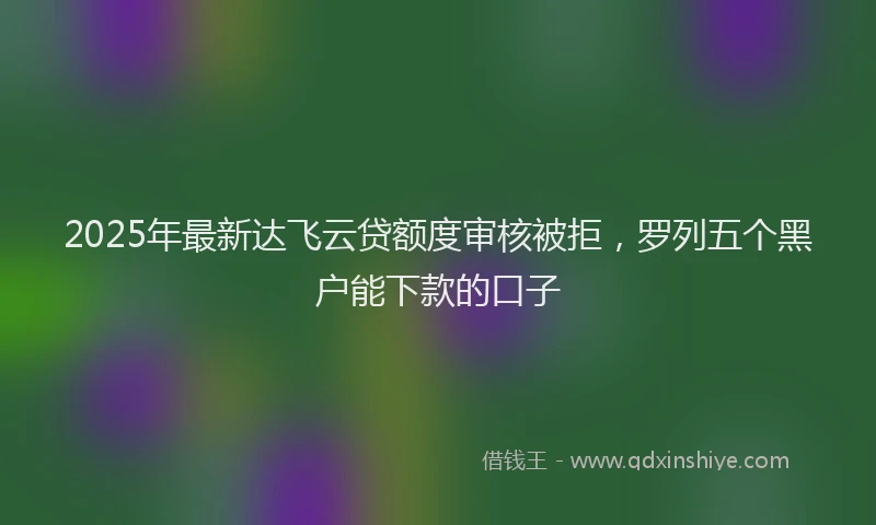 2025年最新达飞云贷额度审核被拒，罗列五个黑户能下款的口子
