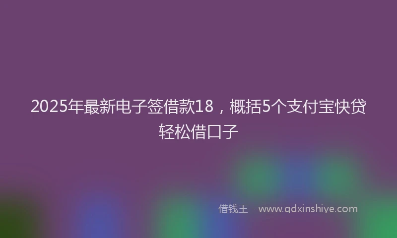 2025年最新电子签借款18，概括5个支付宝快贷轻松借口子
