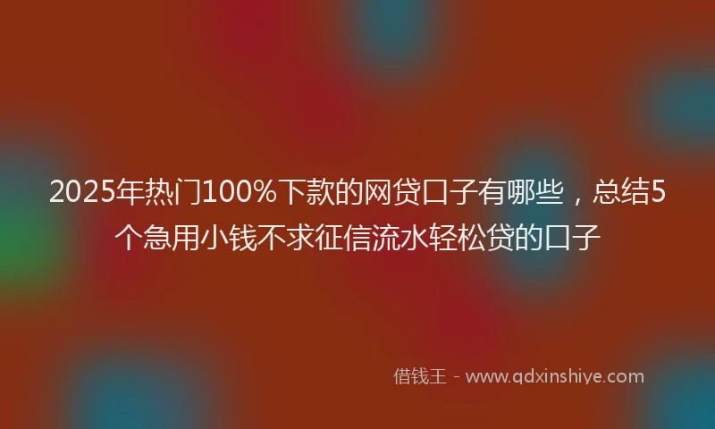 2025年热门100%下款的网贷口子有哪些，总结5个急用小钱不求征信流水轻松贷的口子