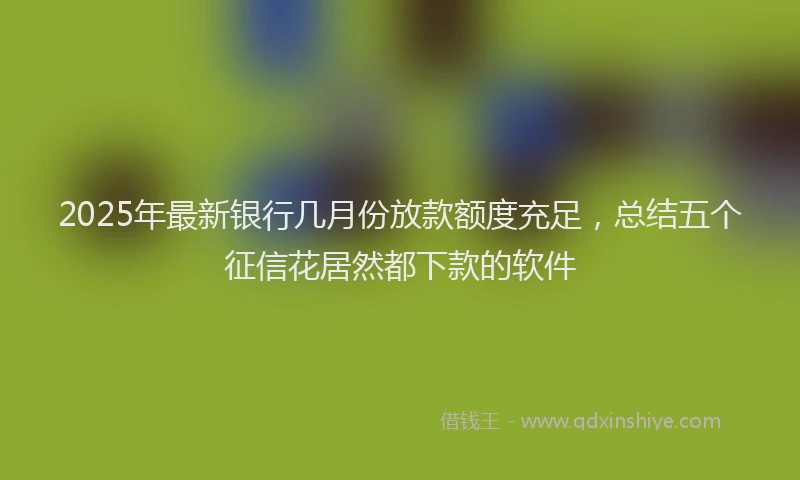 2025年最新银行几月份放款额度充足，总结五个征信花居然都下款的软件