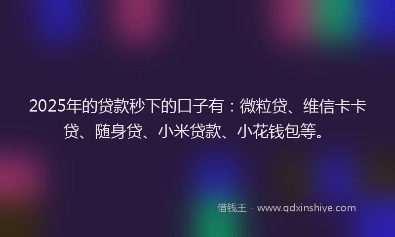 2025年的贷款秒下的口子有：微粒贷、维信卡卡贷、随身贷、小米贷款、小花钱包等。