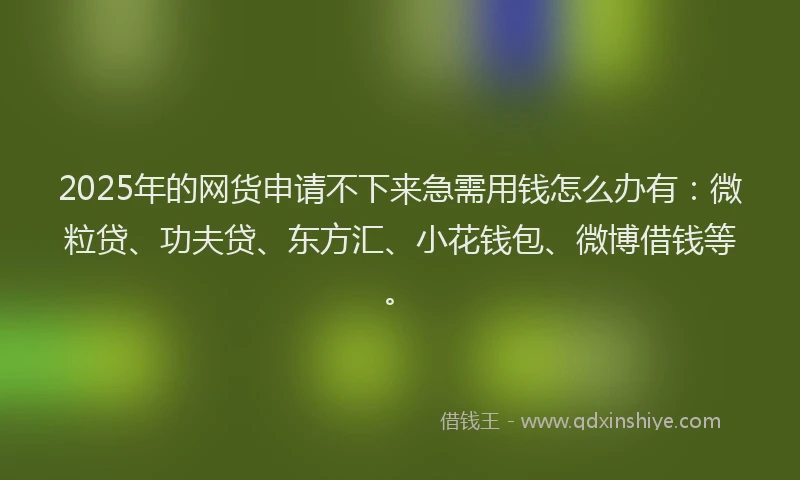 2025年的网货申请不下来急需用钱怎么办有：微粒贷、功夫贷、东方汇、小花钱包、微博借钱等。