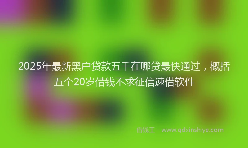 2025年最新黑户贷款五千在哪贷最快通过，概括五个20岁借钱不求征信速借软件