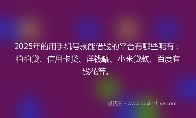 2025年的用手机号就能借钱的平台有哪些呢有：拍拍贷、信用卡贷、洋钱罐、小米贷款、百度有钱花等。