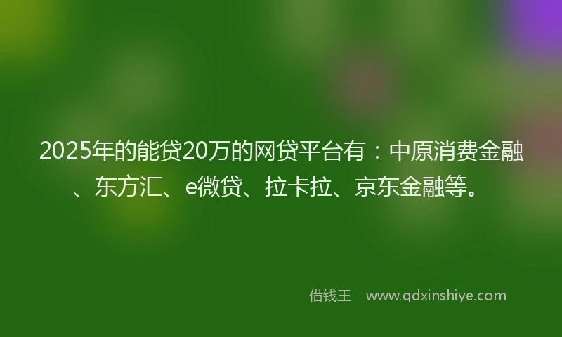 2025年的能贷20万的网贷平台有：中原消费金融、东方汇、e微贷、拉卡拉、京东金融等。