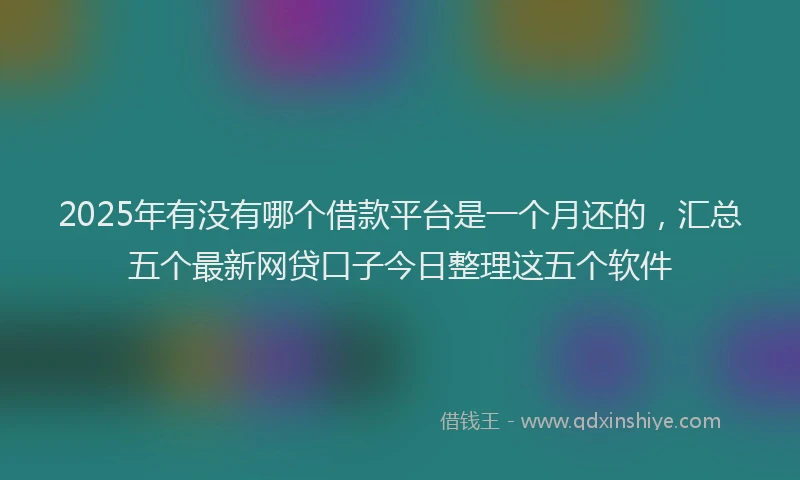 2025年有没有哪个借款平台是一个月还的，汇总五个最新网贷口子今日整理这五个软件