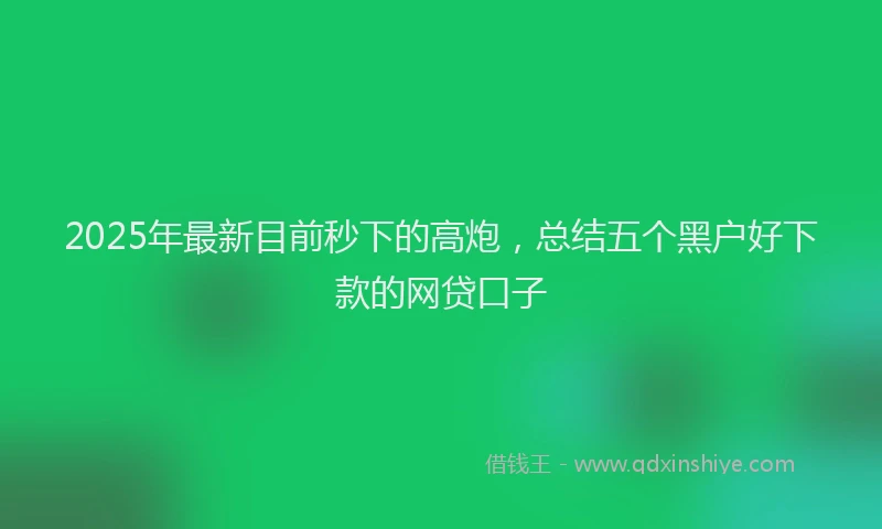 2025年最新目前秒下的高炮，总结五个黑户好下款的网贷口子